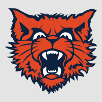 Evanston Township High School Premium Sweatshirt | Teevron
