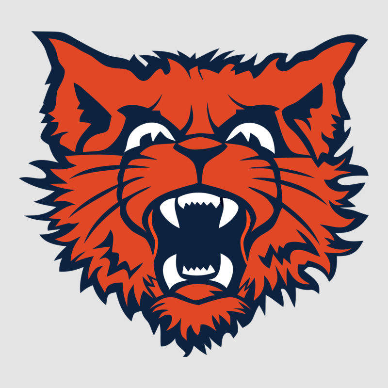 Evanston Township High School Premium Sweatshirt by linhVisuals | Teevron