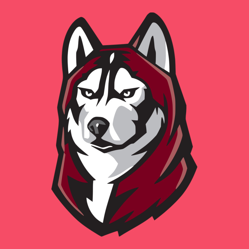 Bloomsburg Huskies Premium Sweatshirt by linhVisuals | Teevron
