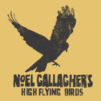Noel Gallagher's High Flying Birds Classic Premium Sweatshirt | Teevron