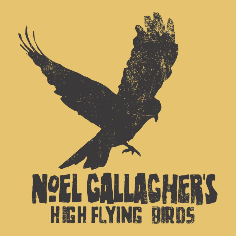 Noel Gallagher's High Flying Birds Classic Premium Sweatshirt by linhVisuals | Teevron