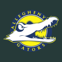 Allegheny Merch Premium Sweatshirt | Teevron