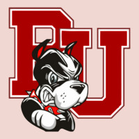 Bu University Terries Champion Premium Sweatshirt | Teevron