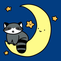 Crescent Moon Raccoon Premium Sweatshirt | Teevron