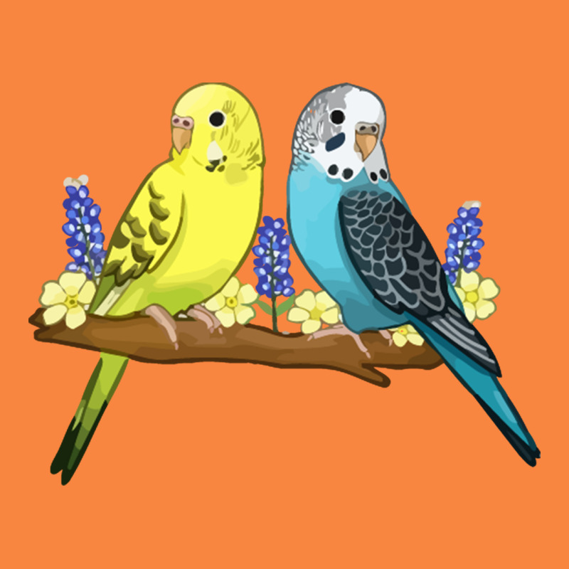 Cute Budgies Premium Sweatshirt by linhVisuals | Teevron