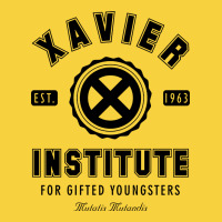 Xavier Institute Premium Sweatshirt | Teevron