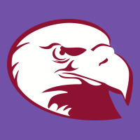 Lock Haven Bald Eagles Premium Sweatshirt | Teevron