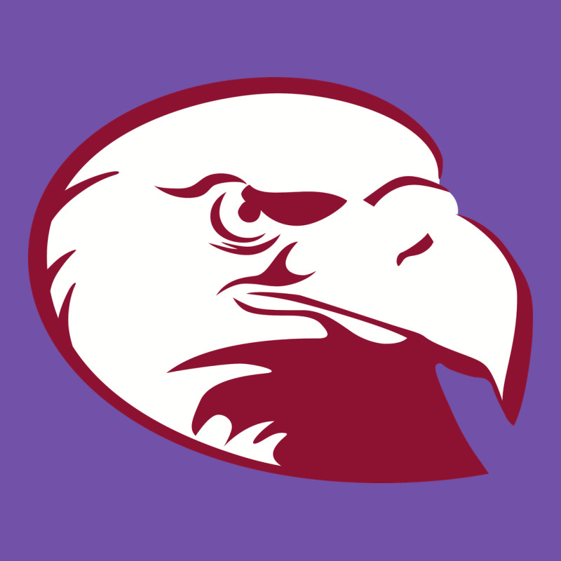 Lock Haven Bald Eagles Premium Sweatshirt by linhVisuals | Teevron
