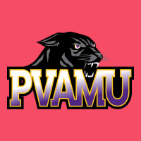 Prairie View A&m Panthers And Lady Panthers Rectangle Patch Premium Sweatshirt | Teevron