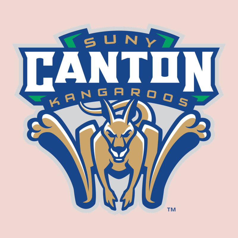 Suny Canton Premium Sweatshirt by linhVisuals | Teevron