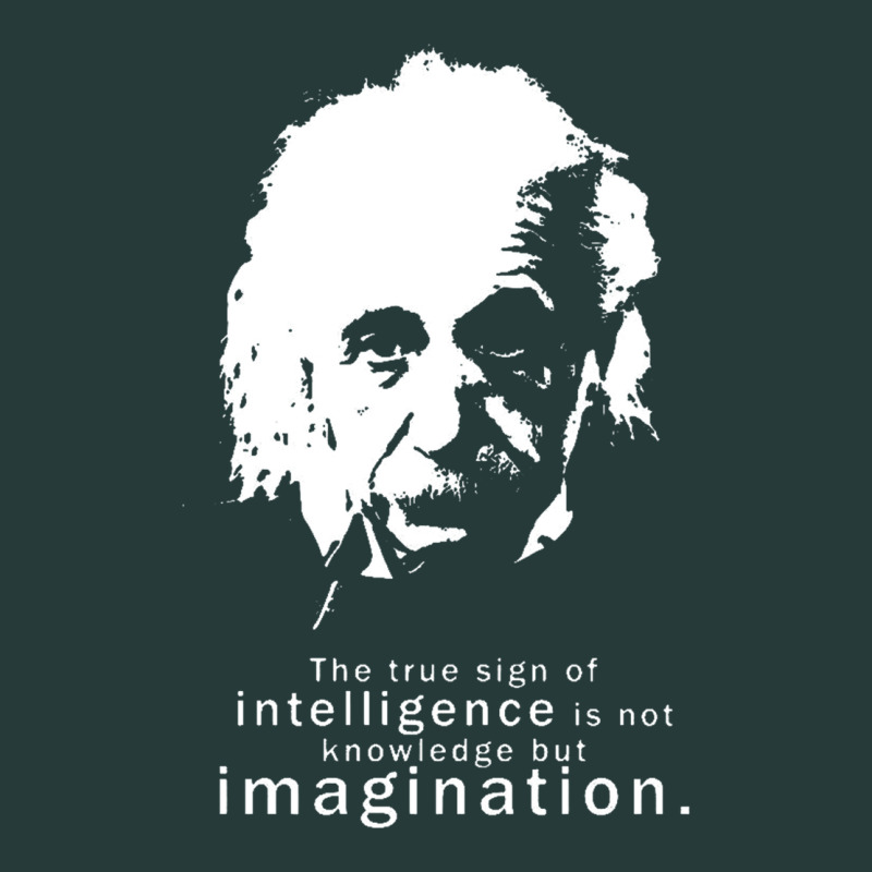 Albert Einstein Quote1 Premium Sweatshirt by linhVisuals | Teevron