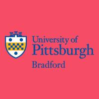 University Of Pittsburgh At Bradford New Premium Sweatshirt | Teevron