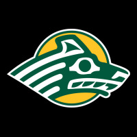 Alaska Anchorage Seawolves Premium Sweatshirt | Teevron
