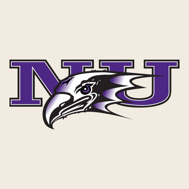 Niagara Purple Eagles Premium Sweatshirt by linhVisuals | Teevron
