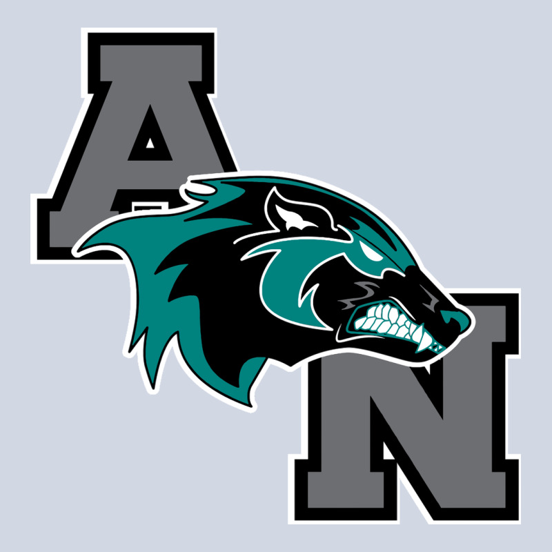 Aliso Niguel High School Premium Sweatshirt by linhVisuals | Teevron