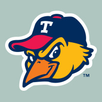 The-toledo-mud-hens-pen Premium Sweatshirt | Teevron