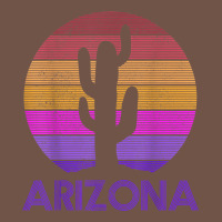 Arizona   Vintage Retro Cactus Souvenir Gift T Shirt Premium Sweatshirt | Teevron