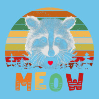 Funny Vintage Raccoon Meow Raccoon Lovers Premium Sweatshirt | Teevron