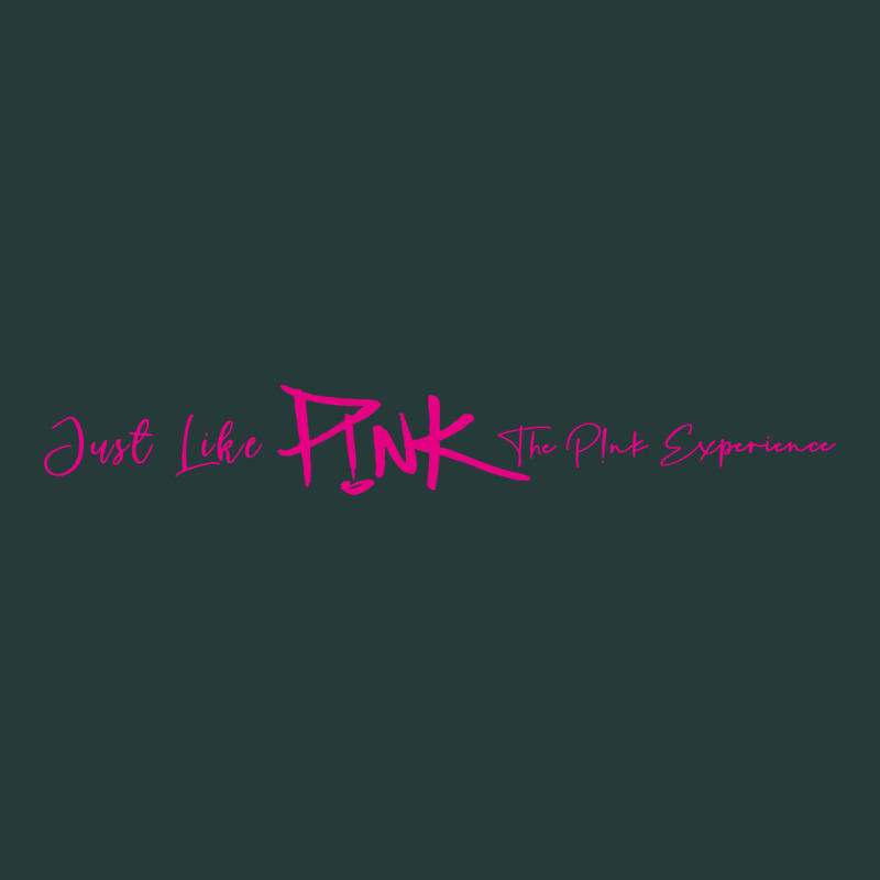 Pink Müṡïc Cṏǹcert P!nk Premium Sweatshirt by linhVisuals | Teevron