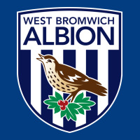 The-west-bromwich-albion-pen Premium Sweatshirt | Teevron