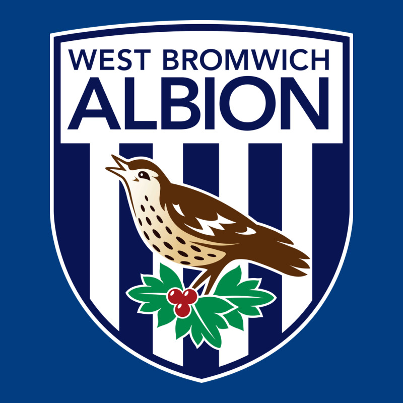 The-west-bromwich-albion-pen Premium Sweatshirt by linhVisuals | Teevron