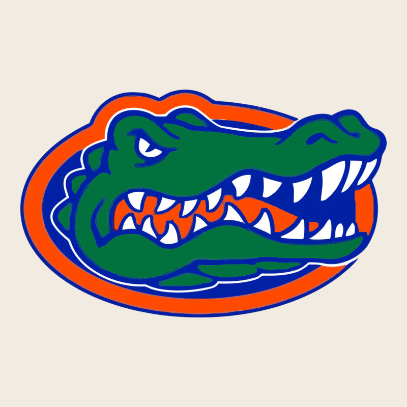 Go Florida Gators Football Premium Sweatshirt by linhVisuals | Teevron