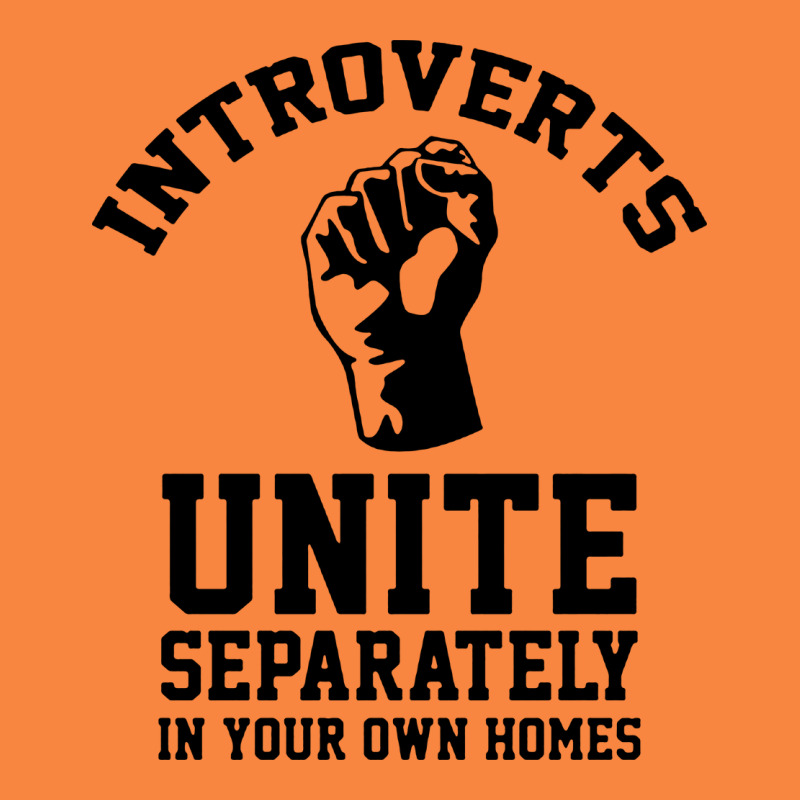Introverts Unite Premium Sweatshirt by linhVisuals | Teevron