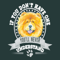 Chow Chow Gift T  Shirt If You Don't Have One You'll Never Understand Premium Sweatshirt | Teevron