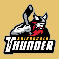 The-adirondack-thunder-pen Premium Sweatshirt | Teevron