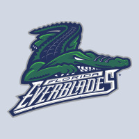 The-florida-everblades-pen Premium Sweatshirt | Teevron