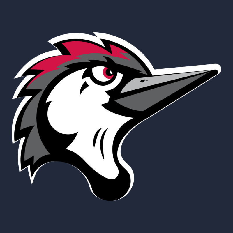 Fayetteville Woodpeckers Premium Sweatshirt by linhVisuals | Teevron