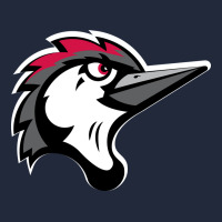 Fayetteville Woodpeckers Premium Sweatshirt | Teevron