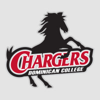 The Dominican Chargers Premium Sweatshirt | Teevron