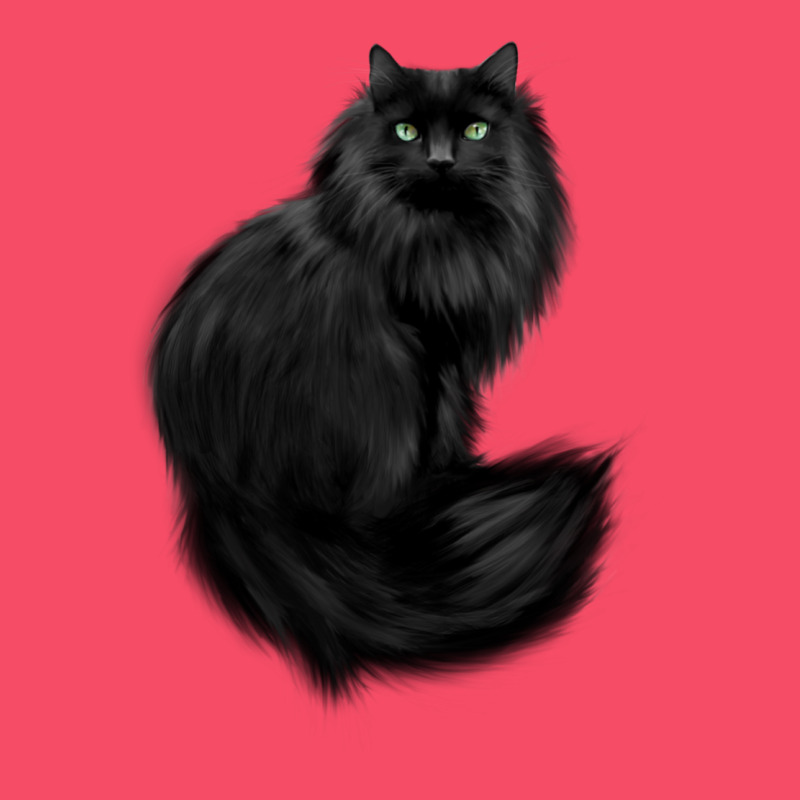 Black Cat Premium Sweatshirt by linhVisuals | Teevron