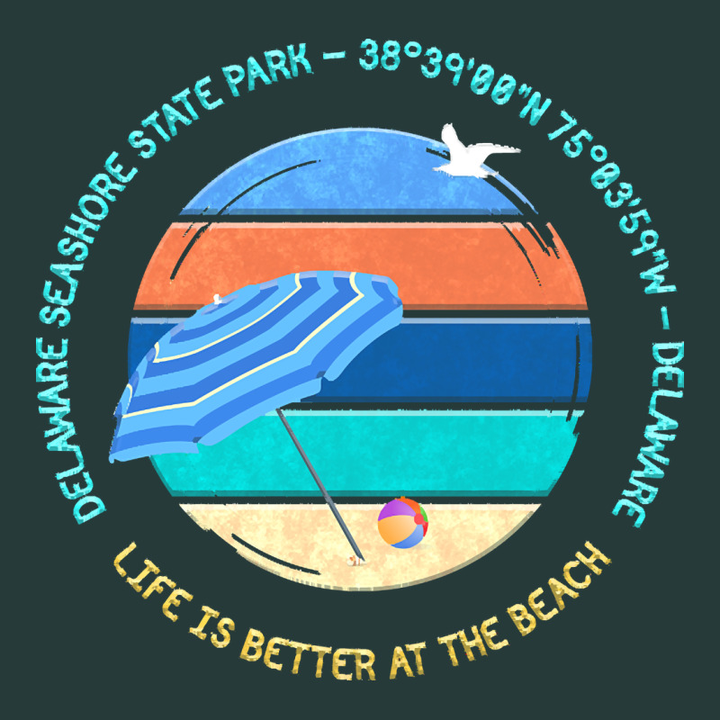 Delaware Seashore State Park T  Shirt Delaware Seashore State Park, De Premium Sweatshirt by linhVisuals | Teevron