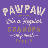 Mens Pawpaw Like A Regular Grandpa Funny Fathers Day Premium Sweatshirt | Teevron