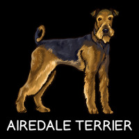 Airedale Terrier Crazy Dog Lover Sweatshirt Premium Sweatshirt | Teevron