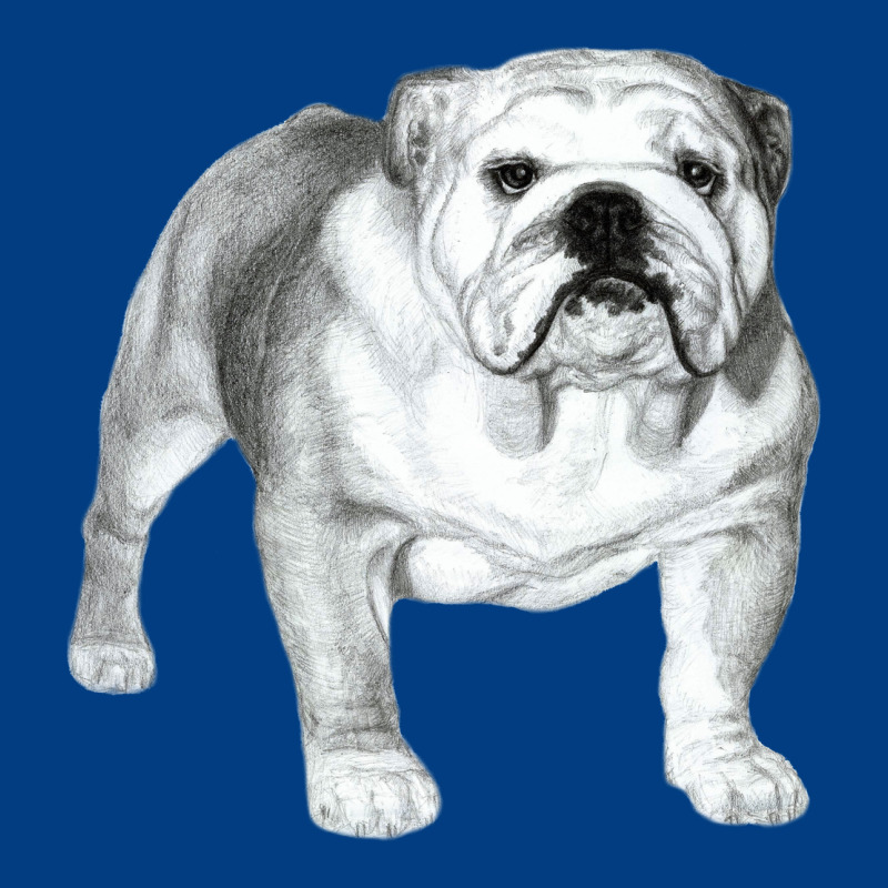 English Bulldog Art Premium Sweatshirt by linhVisuals | Teevron