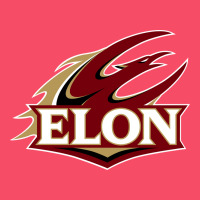 The Elon Phoenix Premium Sweatshirt | Teevron