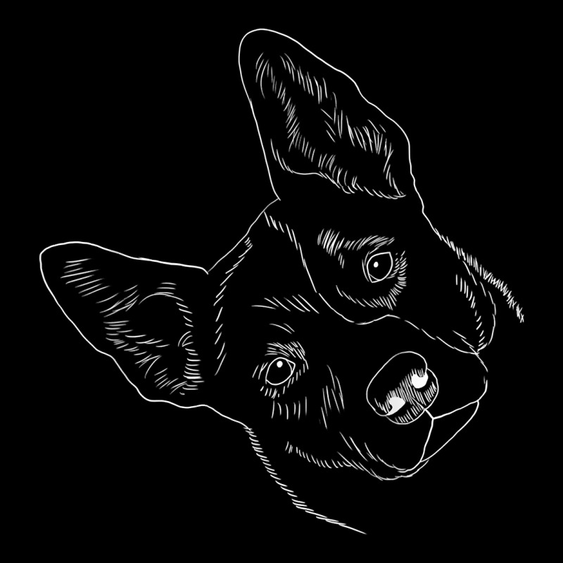 Funny Australian Cattle Dog T Shirt Premium Sweatshirt by linhVisuals | Teevron