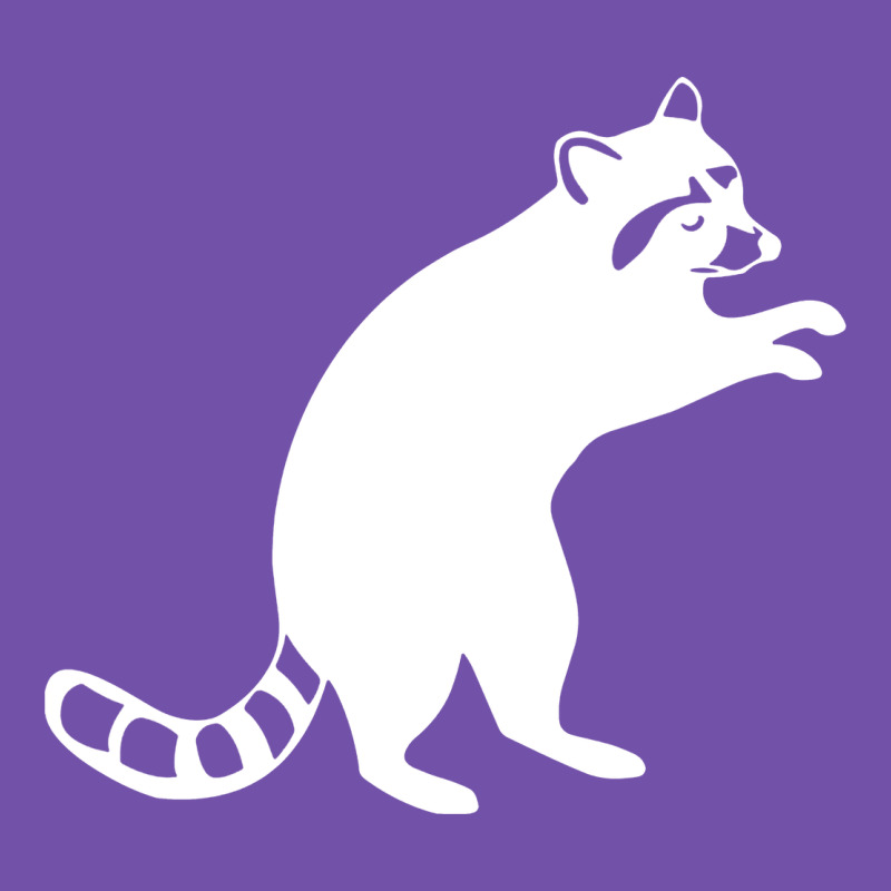 Raccoon Premium Sweatshirt by linhVisuals | Teevron