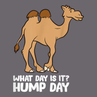 What Day Is It Hump Day Funny Camels Hump Day T Shirt Premium Sweatshirt | Teevron