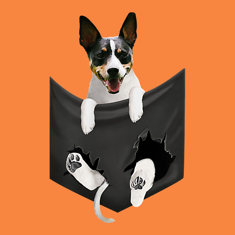 Rat Terrier Dog In Pocket, Rattie Puppy, Ratting Terrier T Shirt Premium Sweatshirt by linhVisuals | Teevron