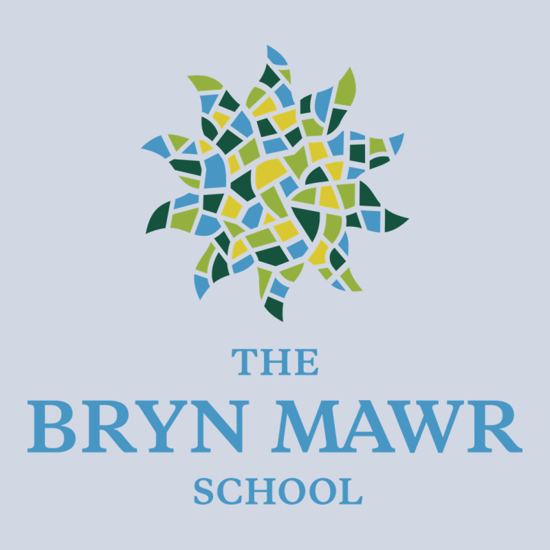Bryn Mawr School Premium Sweatshirt by linhVisuals | Teevron