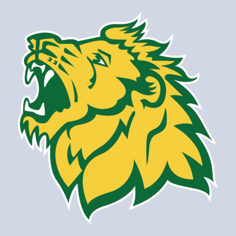 Missouri Southern, Mssu Lions Premium Sweatshirt by linhVisuals | Teevron