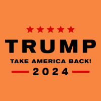 Donald Trump 2024 Take America Back Premium Sweatshirt | Teevron