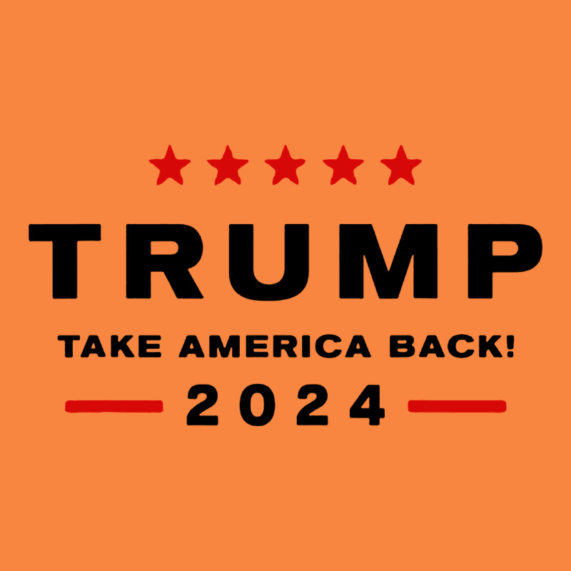 Donald Trump 2024 Take America Back Premium Sweatshirt by baoMotion | Teevron
