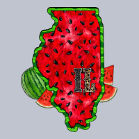 Illinois Watermelon Premium Hoodie | Teevron