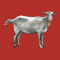 Saanen Goat Premium Hoodie | Teevron