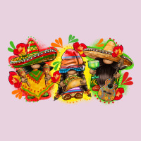 Cinco De Mayo Gnomies Ladies Tee | Teevron
